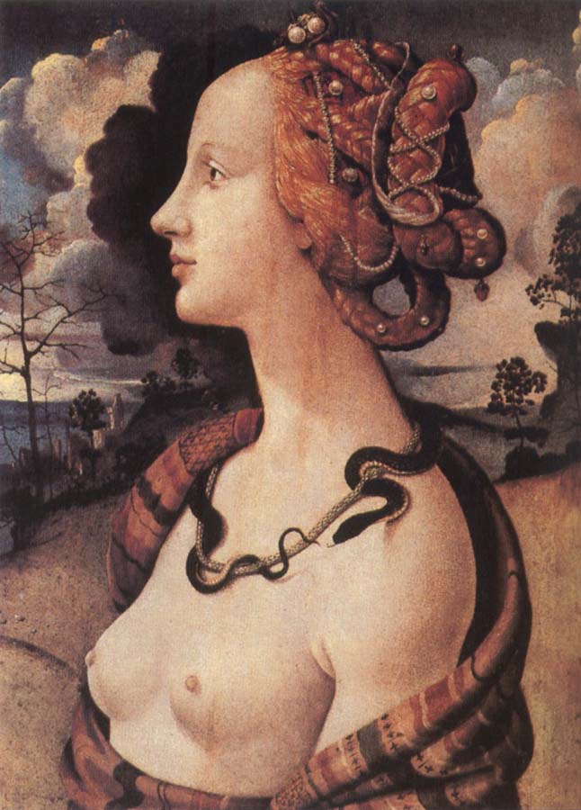 Portrait of Simonetta vespucci